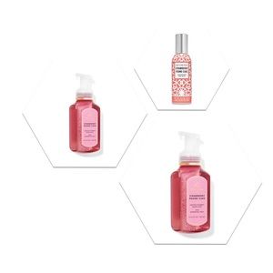 B&BW SPC Hand Soap & Room Spray Set